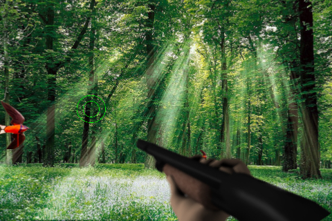 Screenshot Bird Shooting: 3D Screenshot Bird Shooting: 3D